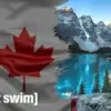 adult swim in canada