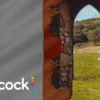 peacock tv in ireland
